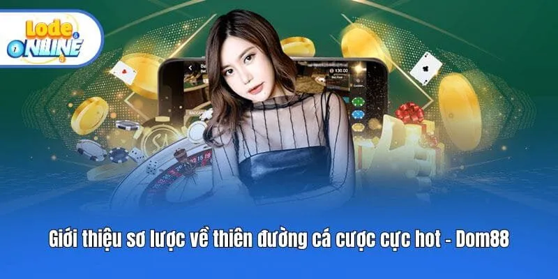 Giới thiệu sơ lược về thiên đường cá cược cực hot - Dom88