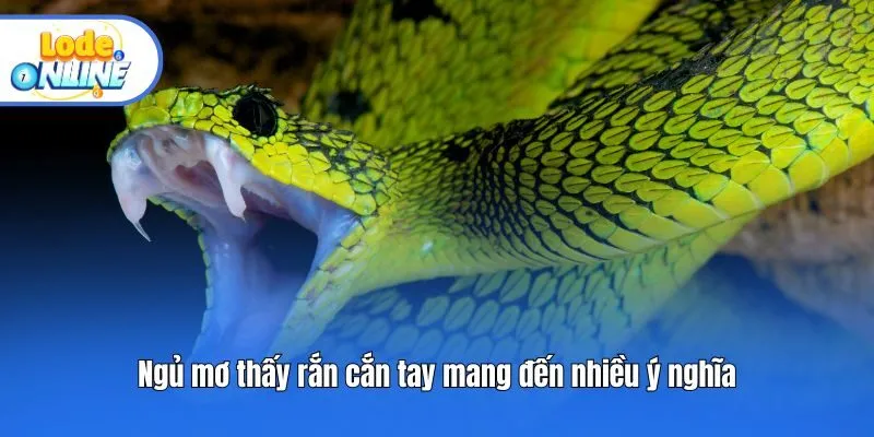 Ngủ mơ thấy rắn cắn tay mang đến nhiều ý nghĩa
